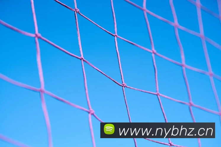 人人体育官网直播APP 封面图